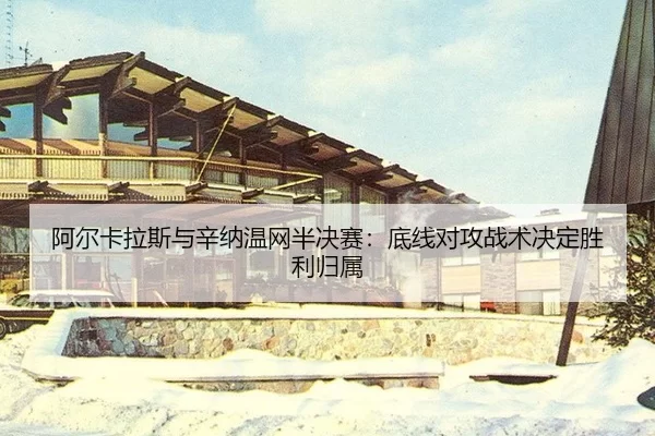 a-er-ka-la-si-yu-xin-na-wen-wang-ban-jue-sai-di-xian-dui-gong-zhan-shu-jue-ding-sheng-li-gui-shu-3-624.jpg